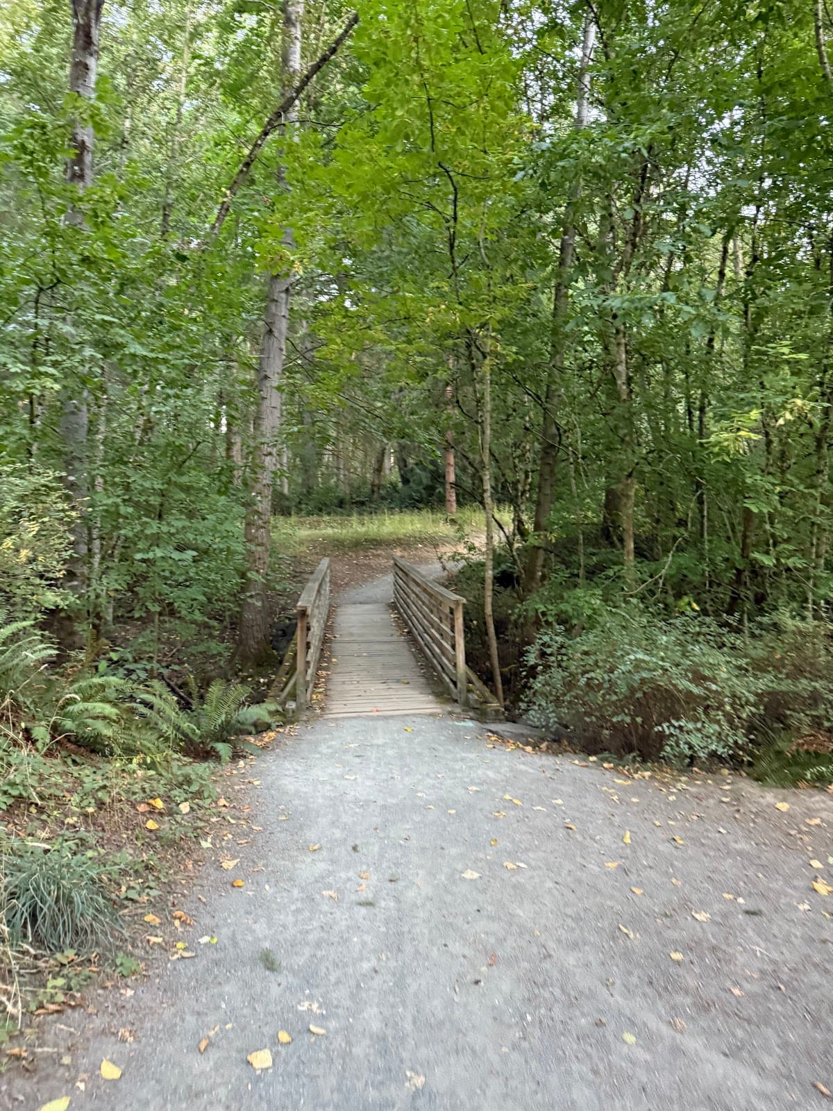 Panther Lake Park - Image 1