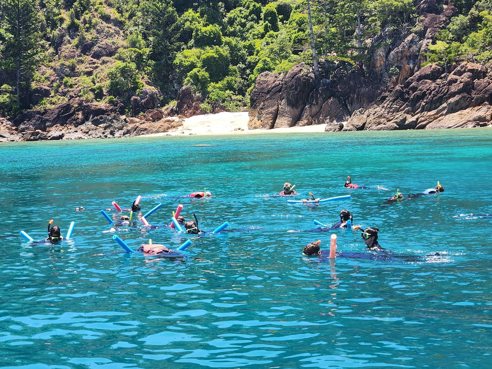 Potential Manta Ray Sightings
