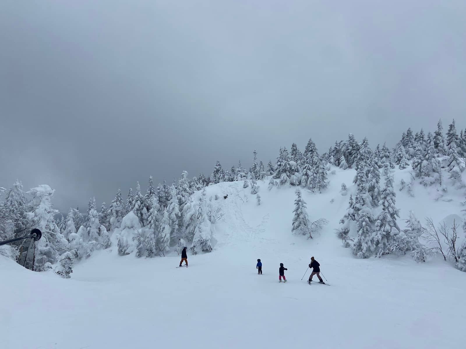 Winter Skiing and Snowboarding