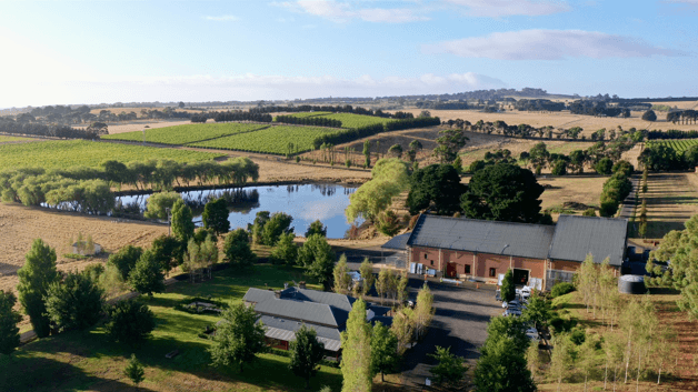 Scenic Vineyard Grounds
