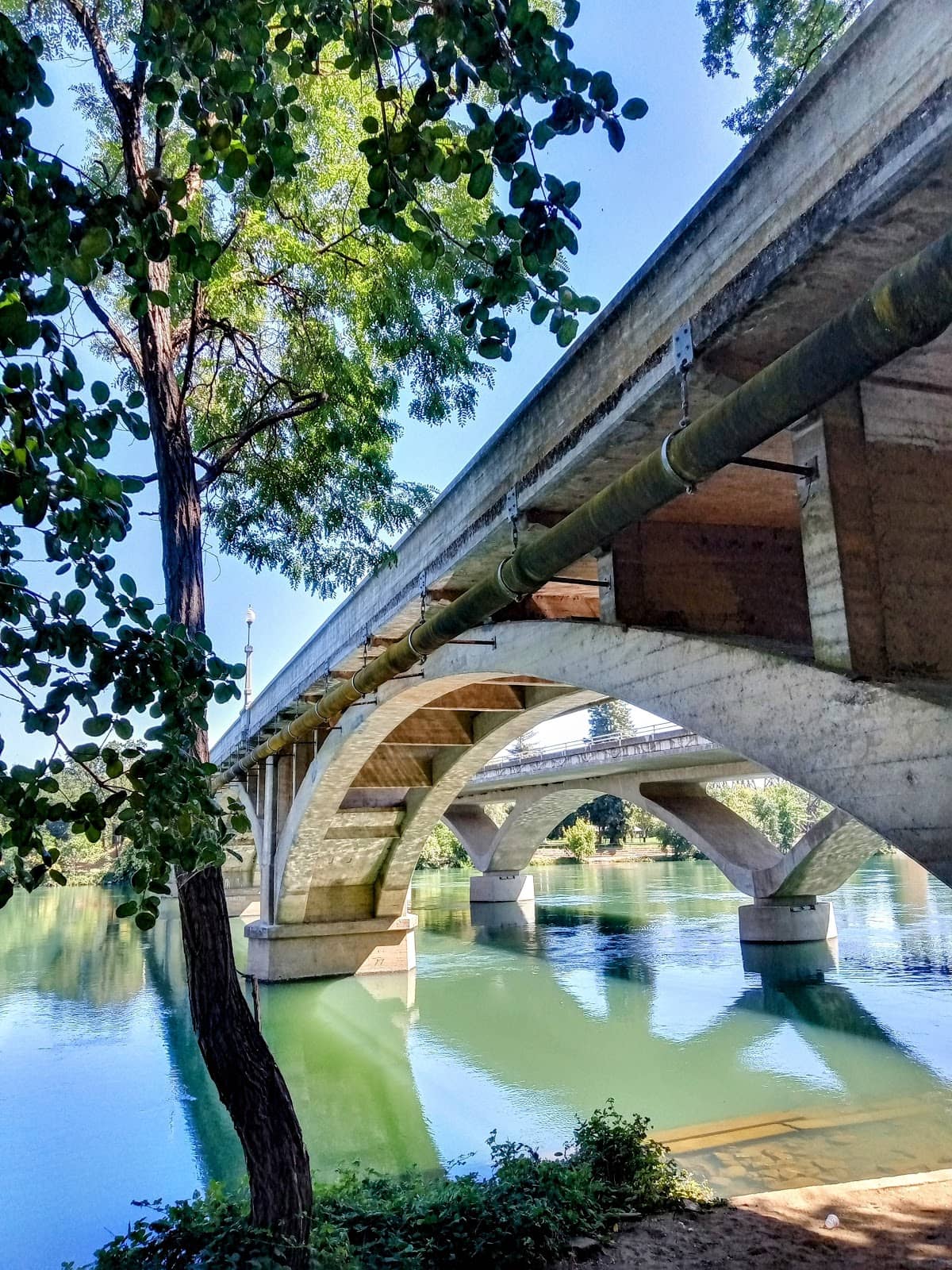 Vertical photo