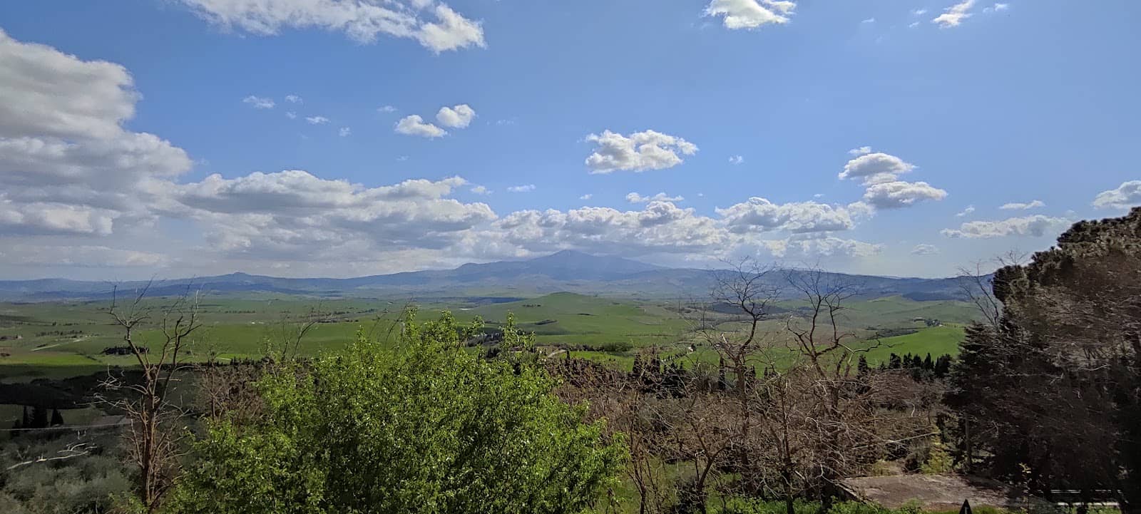 Pecorino di Pienza