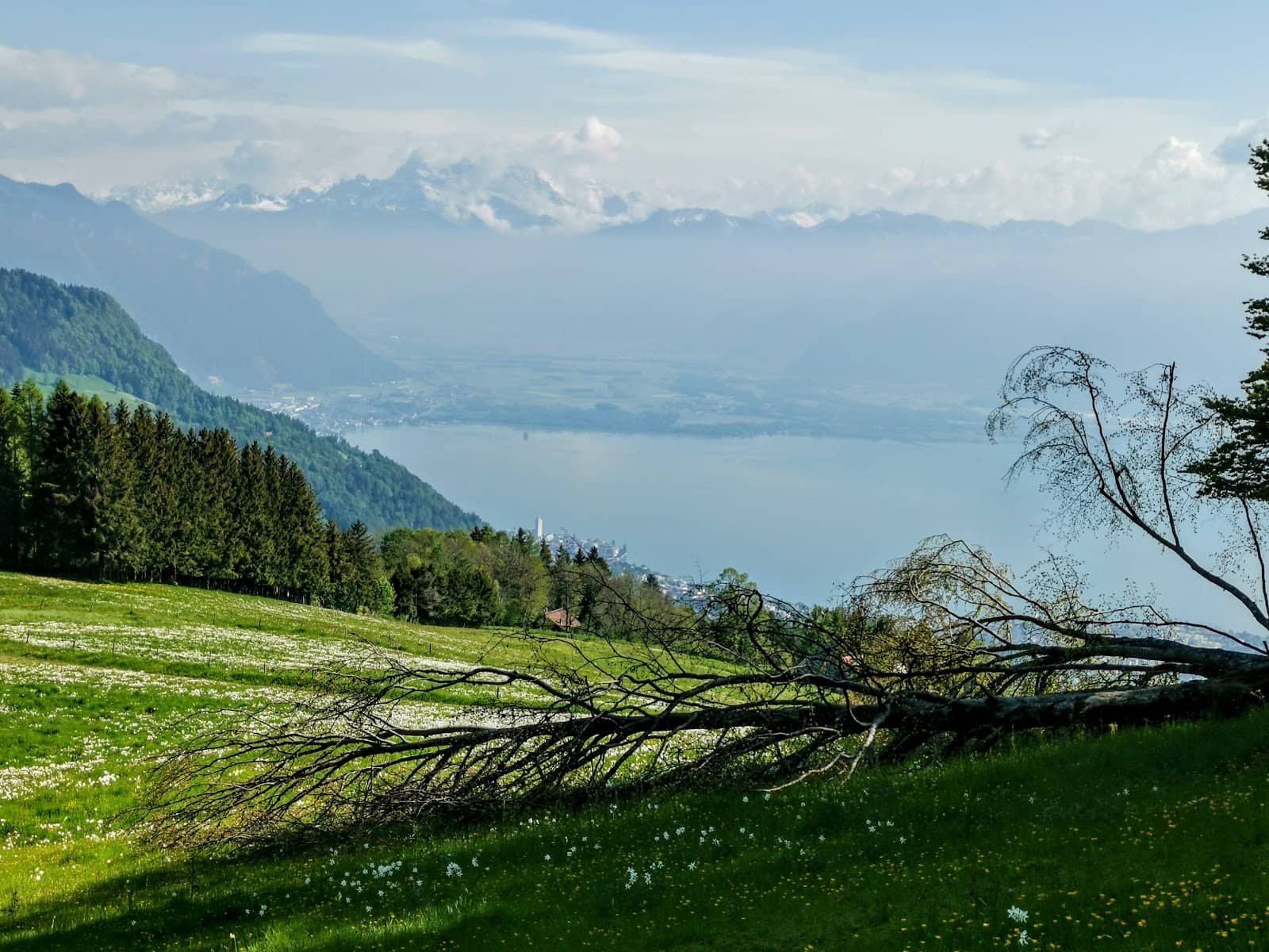 Stargazing Opportunities