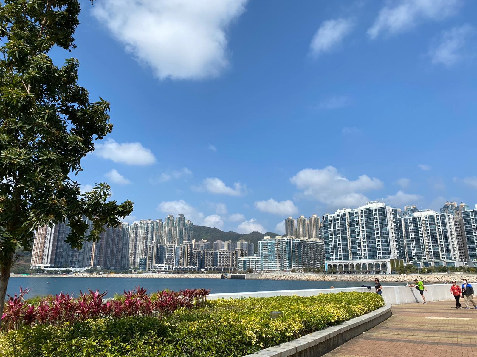 Sheung Wan Waterfront Trail Park Walkway - Image 1