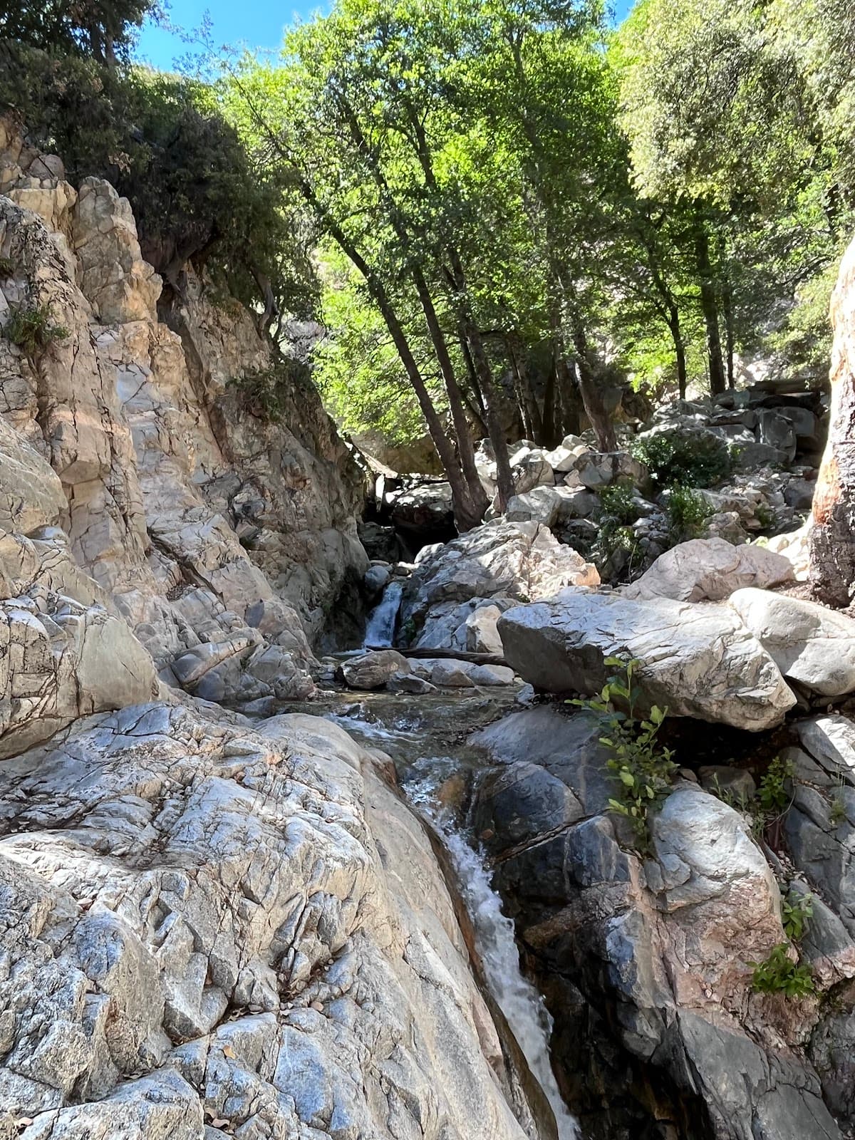 Forest Falls & Big Falls Trail - Image 1