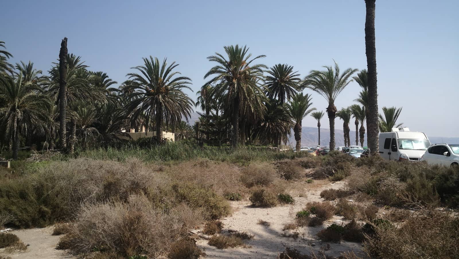 Coastal Tower Remnants
