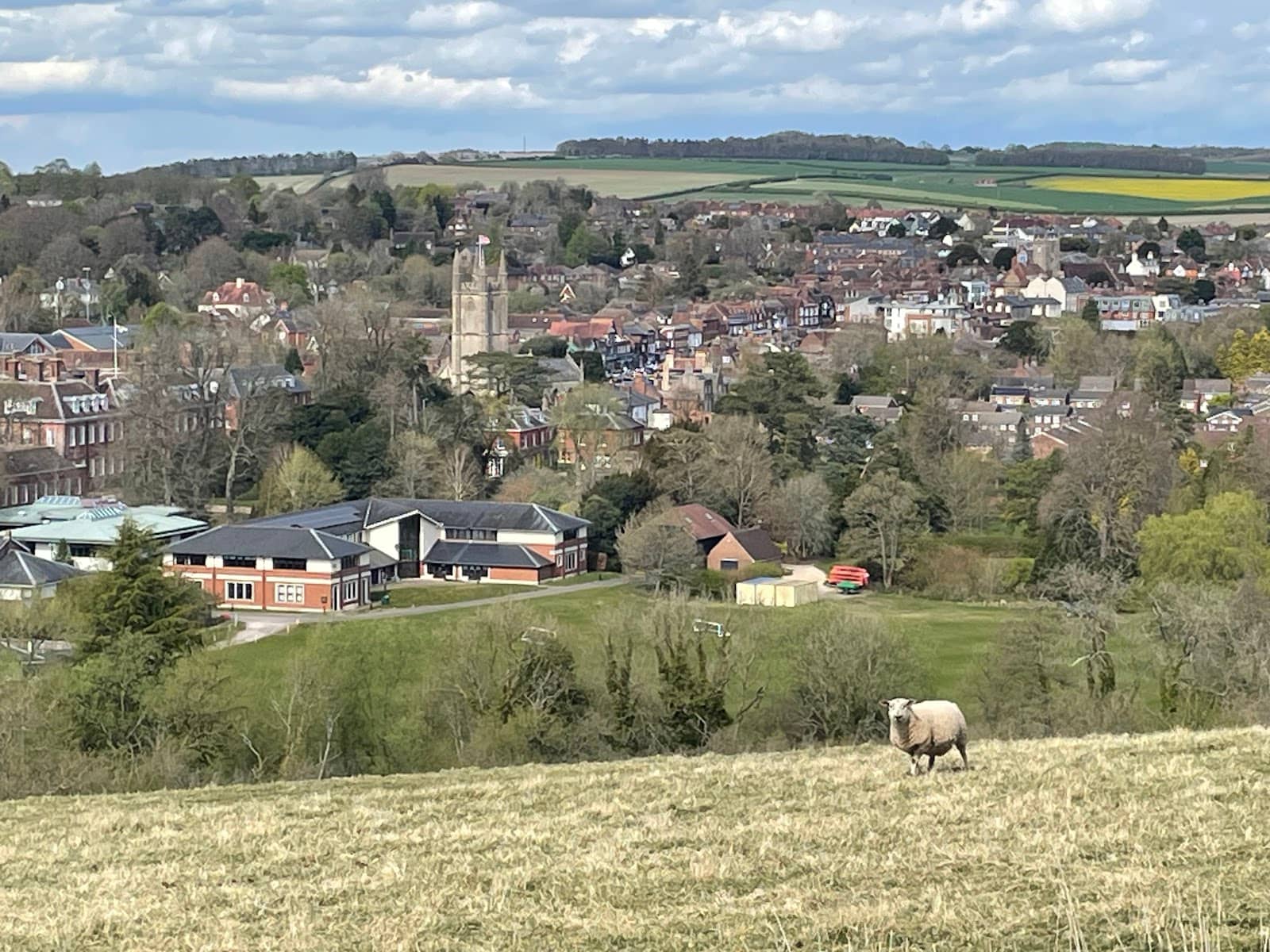 Panoramic Hill Views