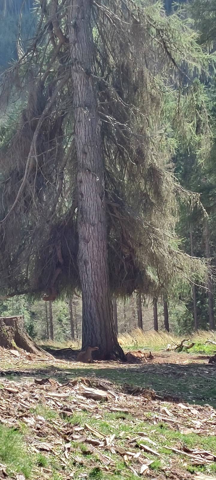 Vertical photo