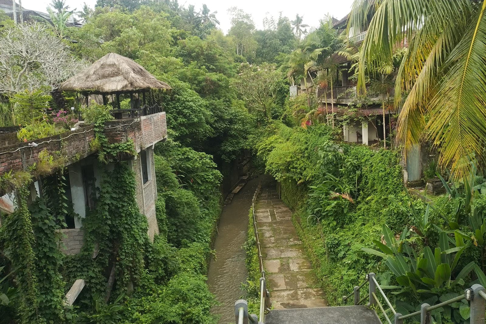 Ubud - Image 1