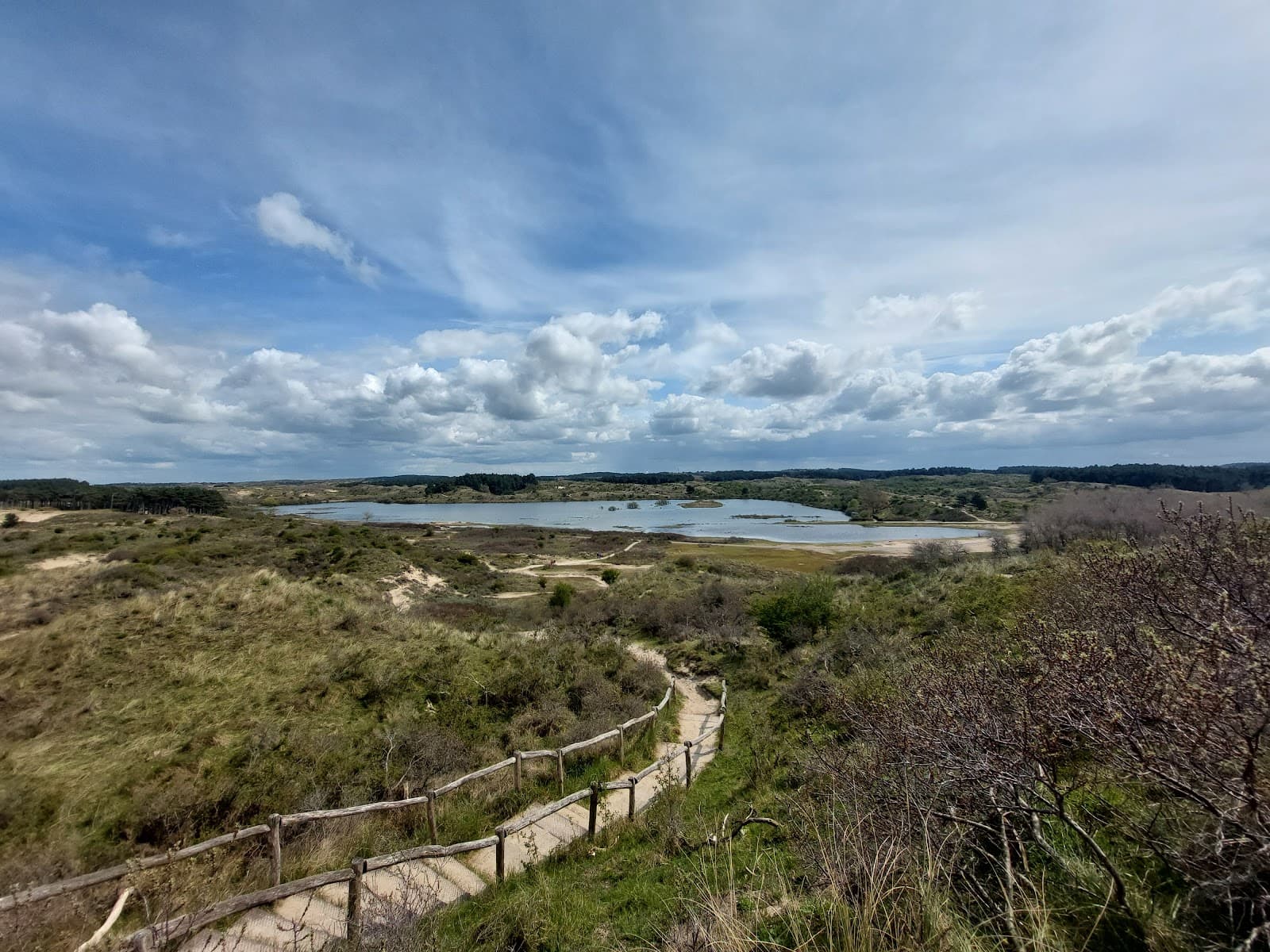 Kraansvlak (European bison area) - Image 1