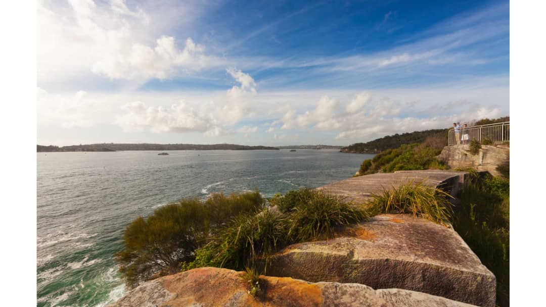 Breathtaking Harbour Lookout