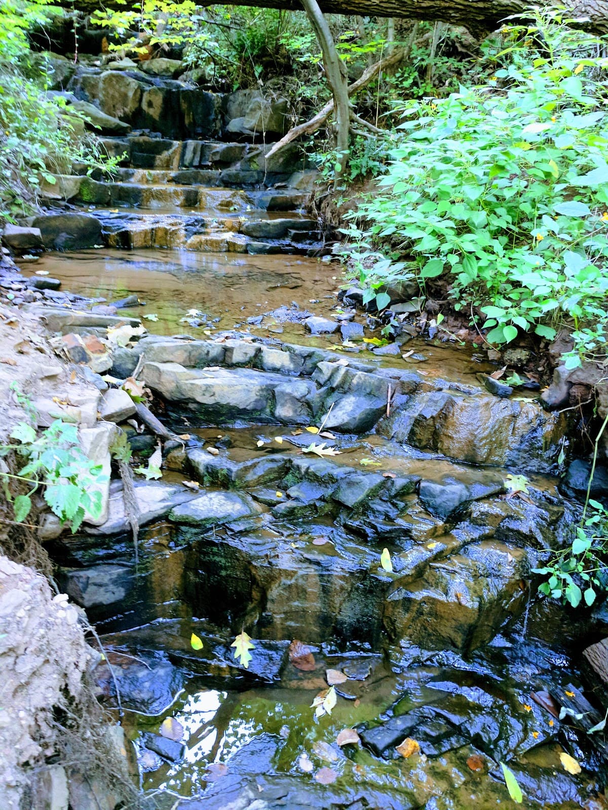 Betzwood Picnic Area and Trailhead - Image 1