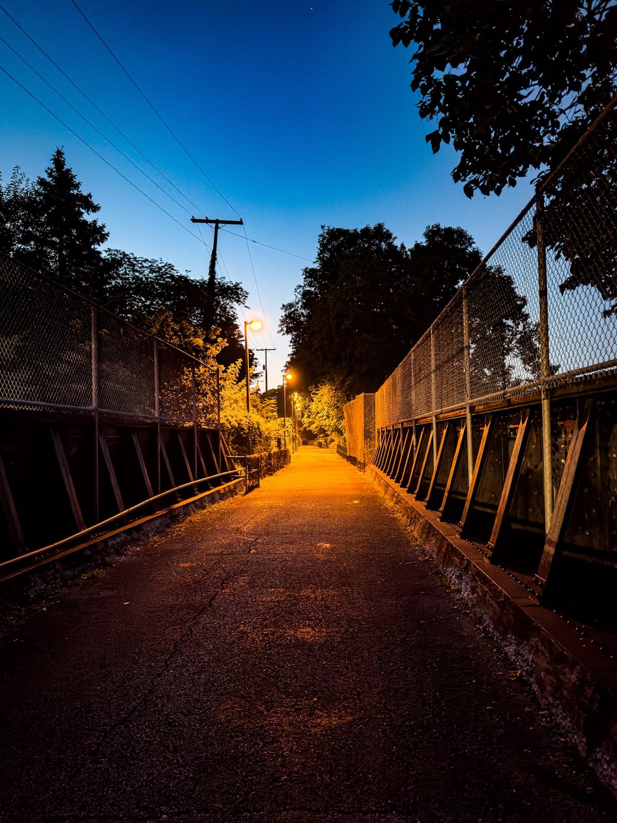 East Bank Trail - Image 1