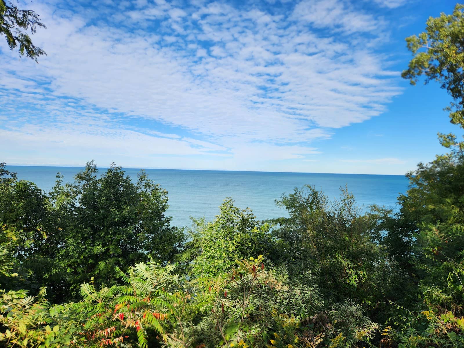 Peaceful Park Benches