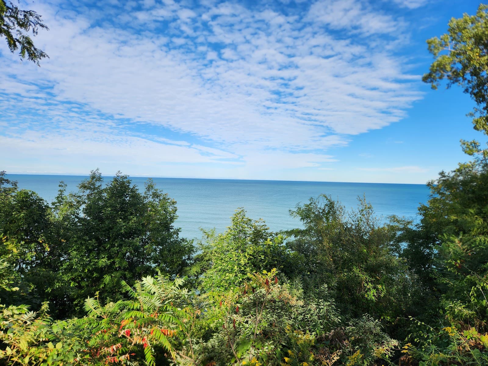 Lookout Park - Image 1