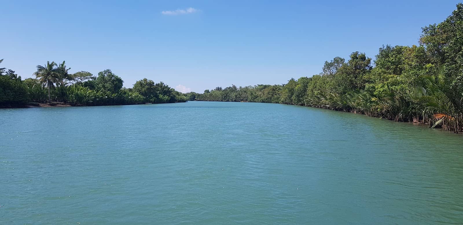 River Swimming & Diving