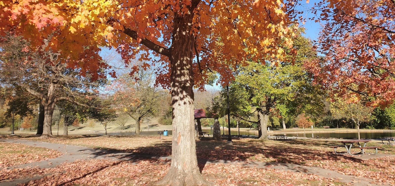 Doling Park - Image 1