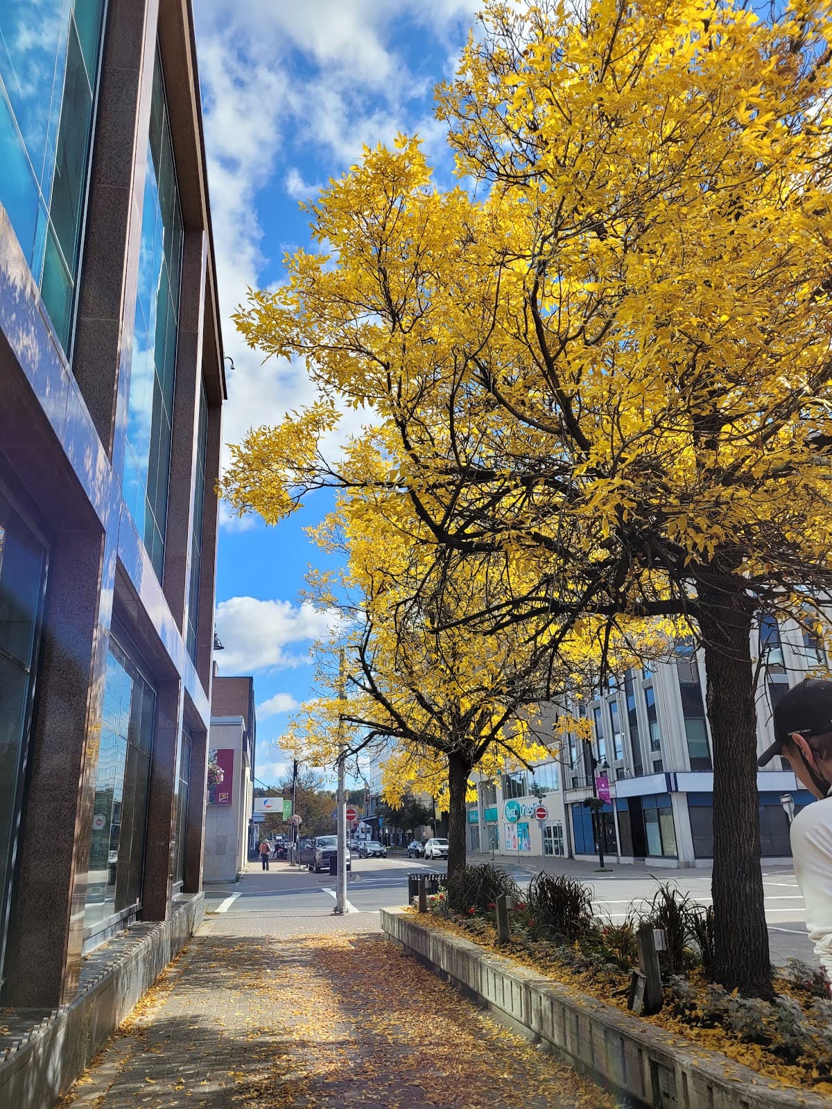 Downtown Sudbury - Image 1