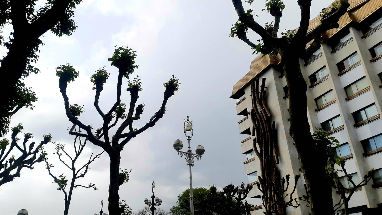 Vertical photo
