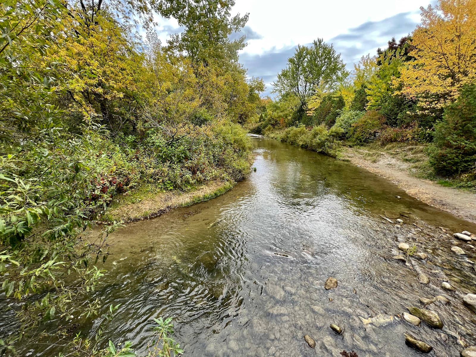 Scenic Creek Bridge