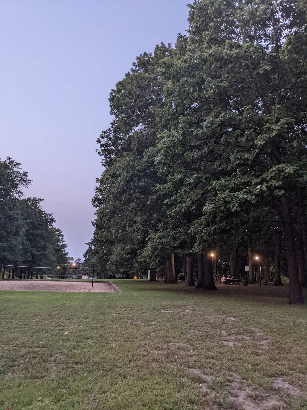 Magical Night Walks