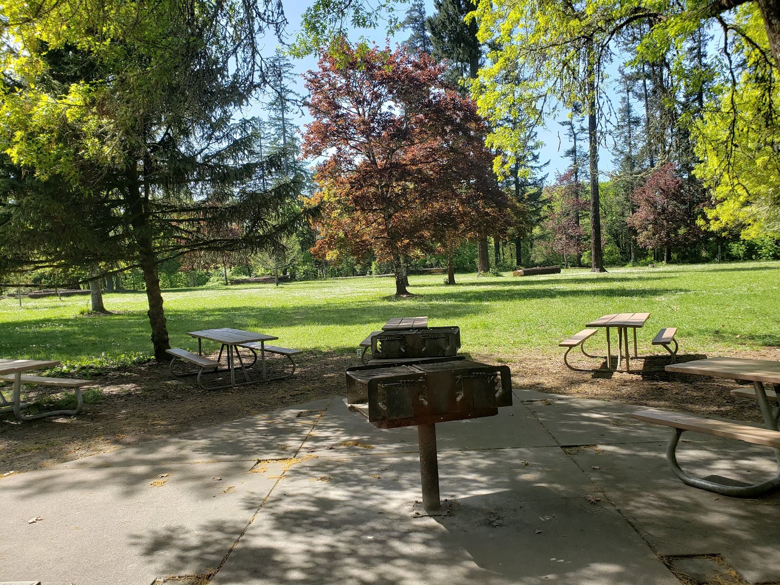 Avery Park & Natural Area - Image 1