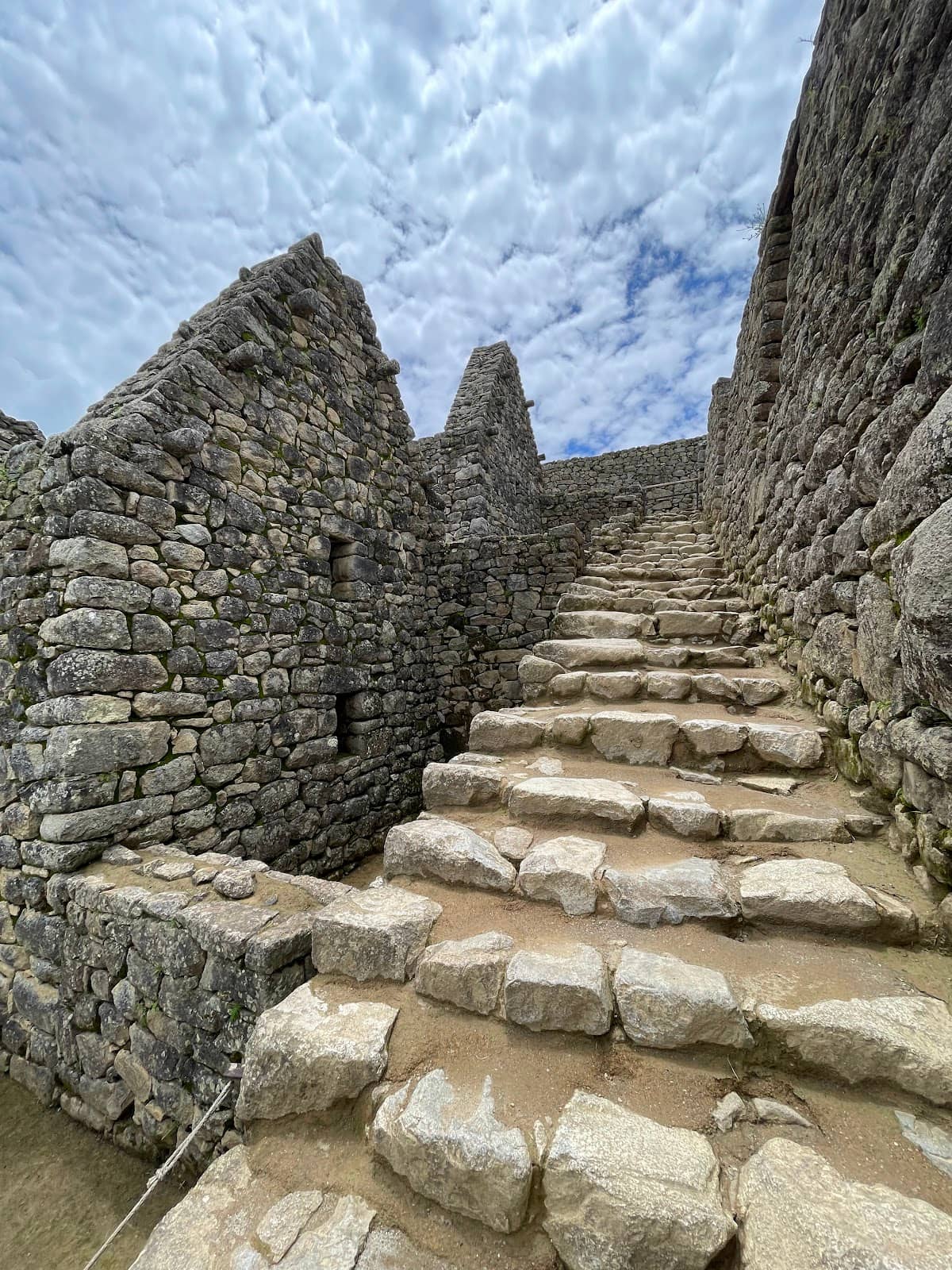 Vertical photo