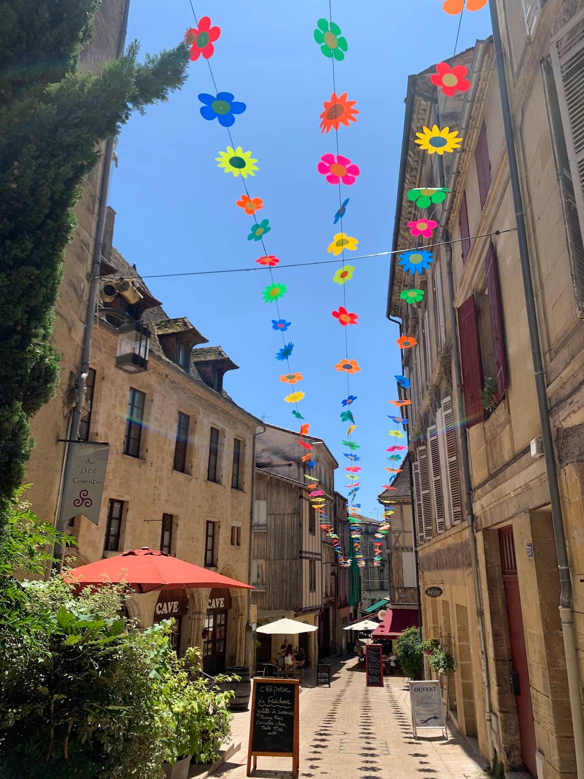 Vertical photo