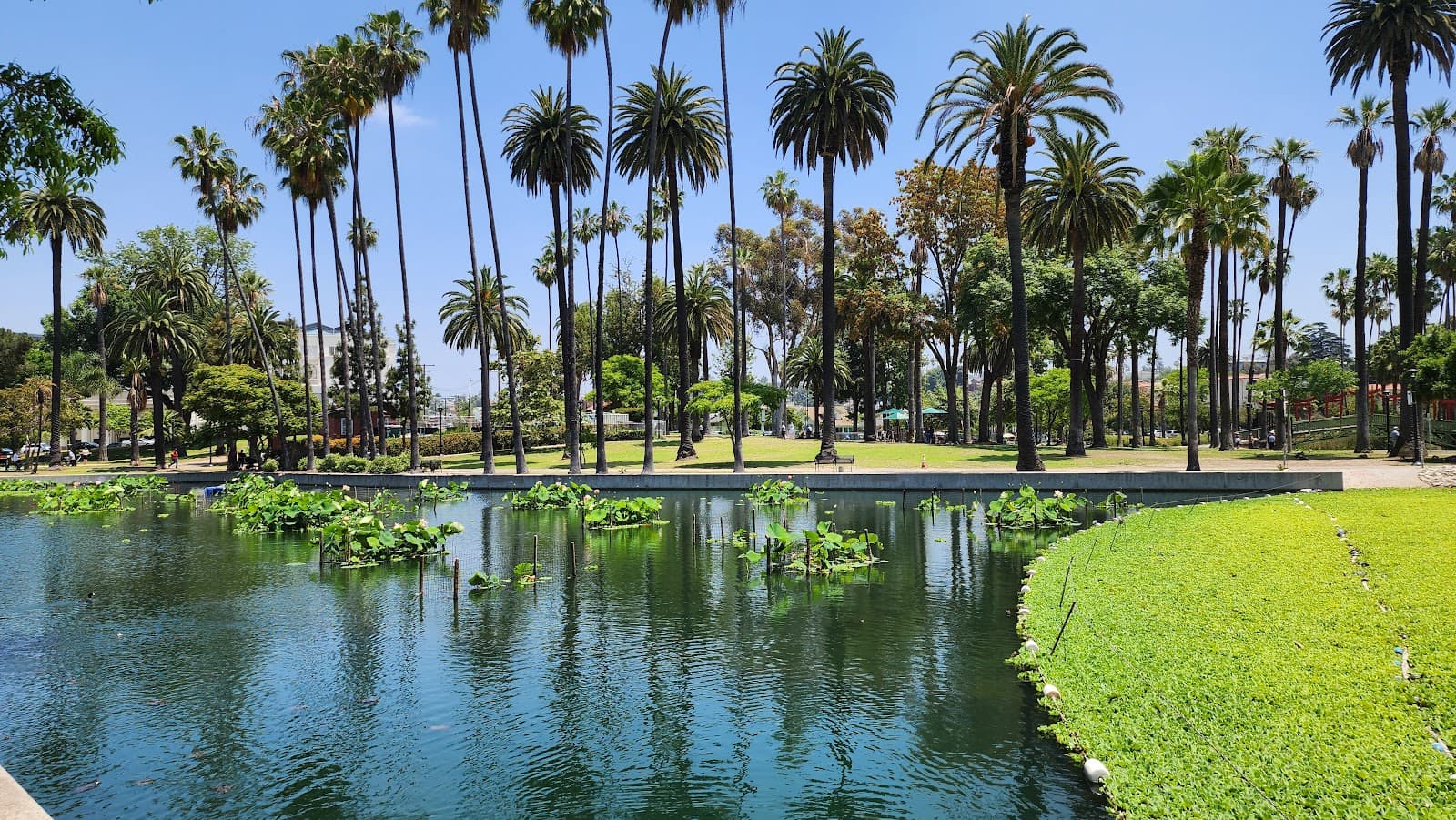 Mt. Echo Park - Image 1