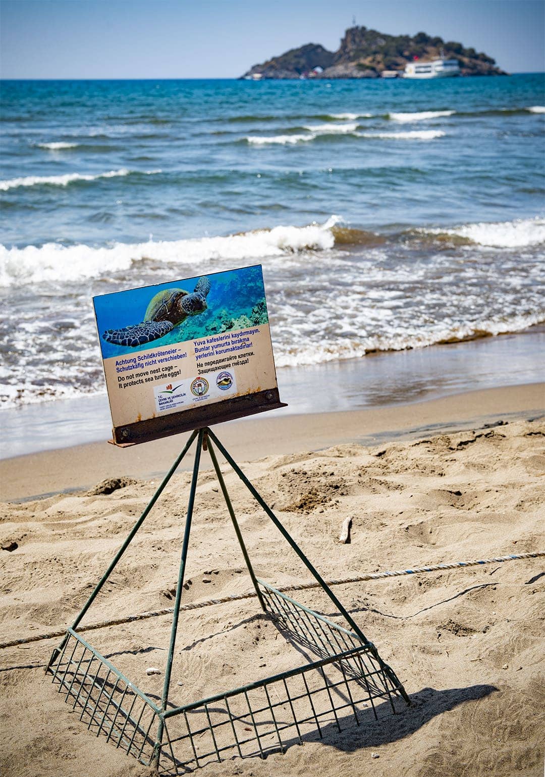 Turtle Release Preparations