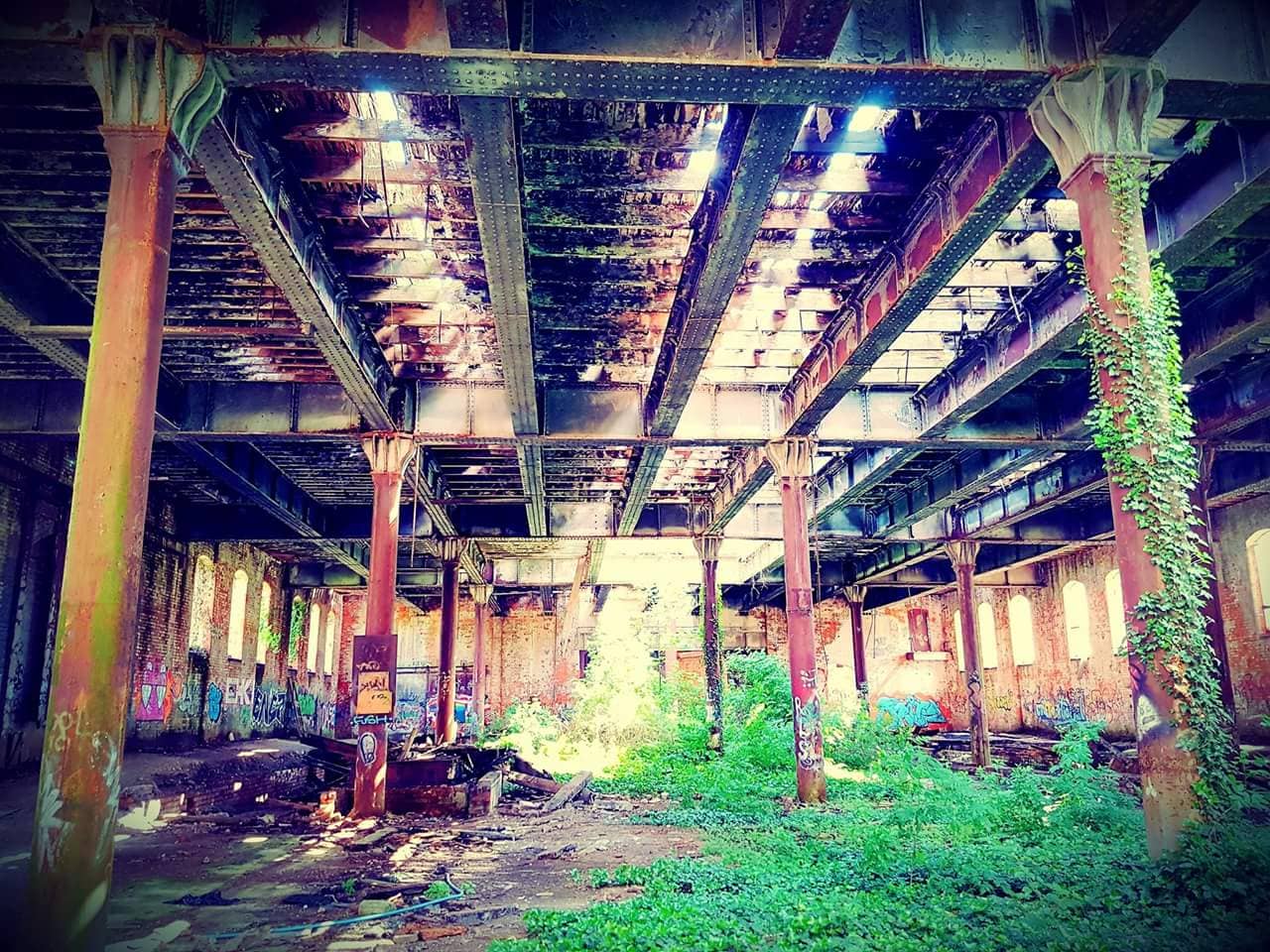 Vertical photo