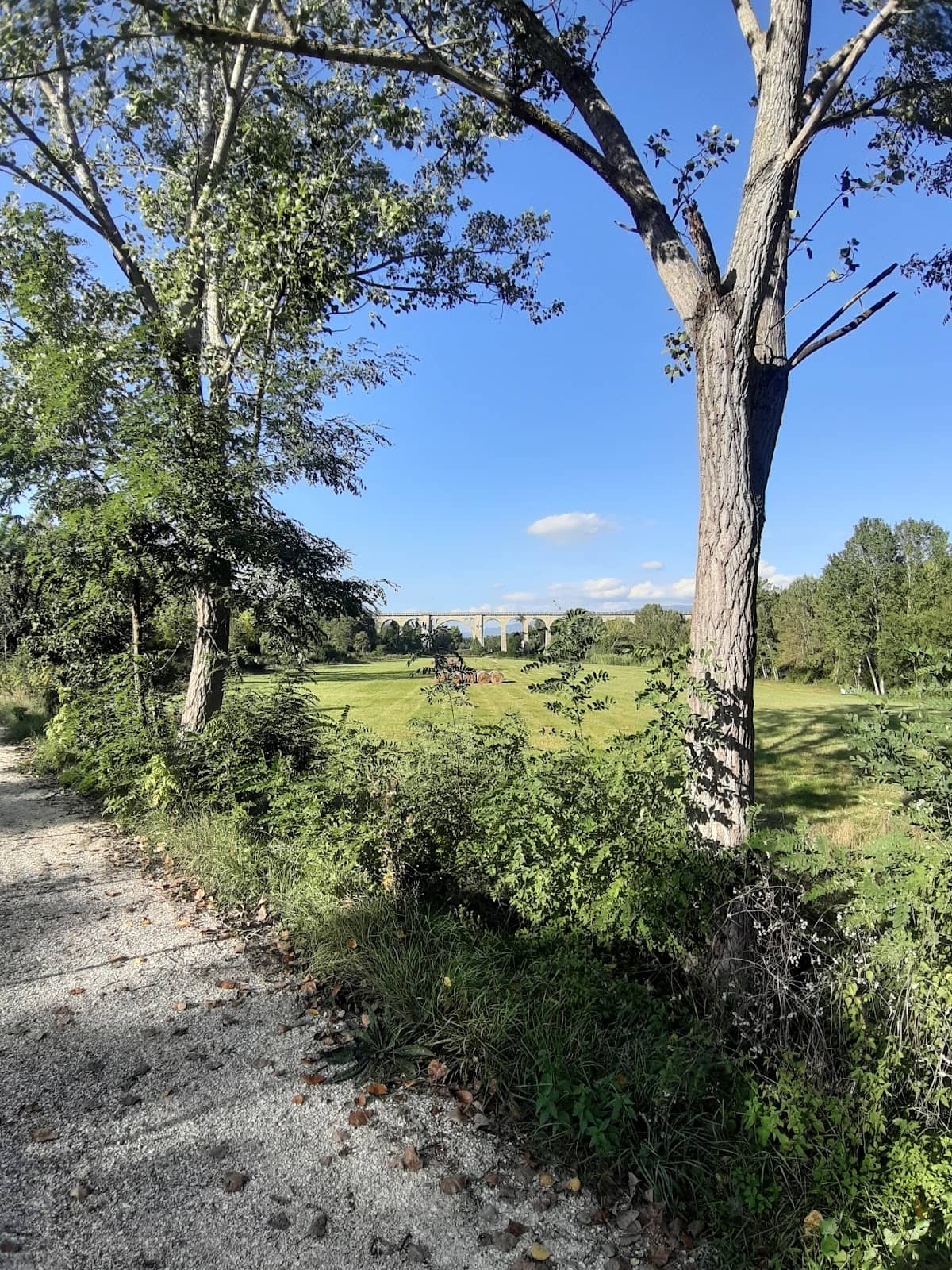 Gravel Path Serenity