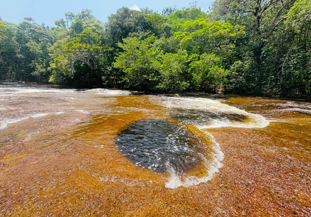 Mutum Ecological Park - Image 1