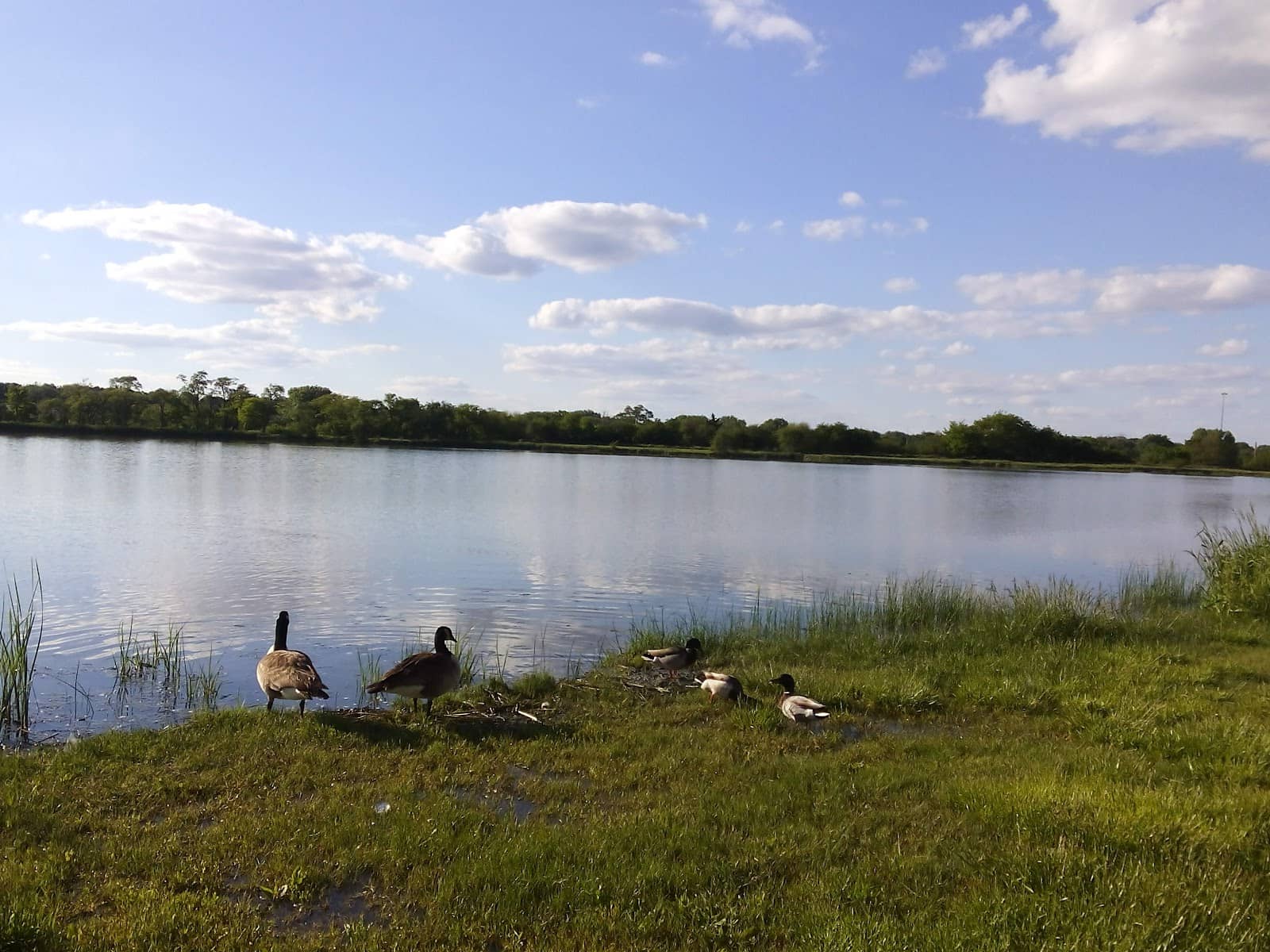 Fishing Spots