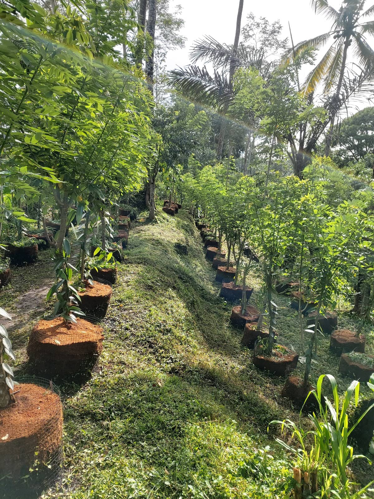 Vanilla Farm & Garden Tour