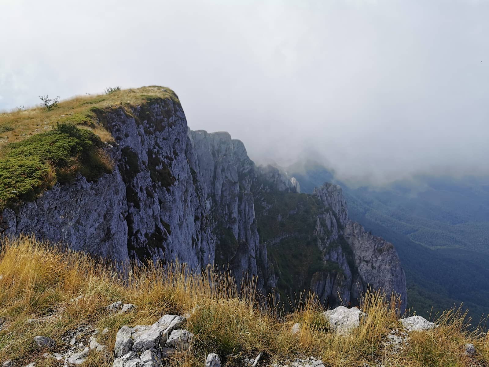 Open Mountain Top Panorama