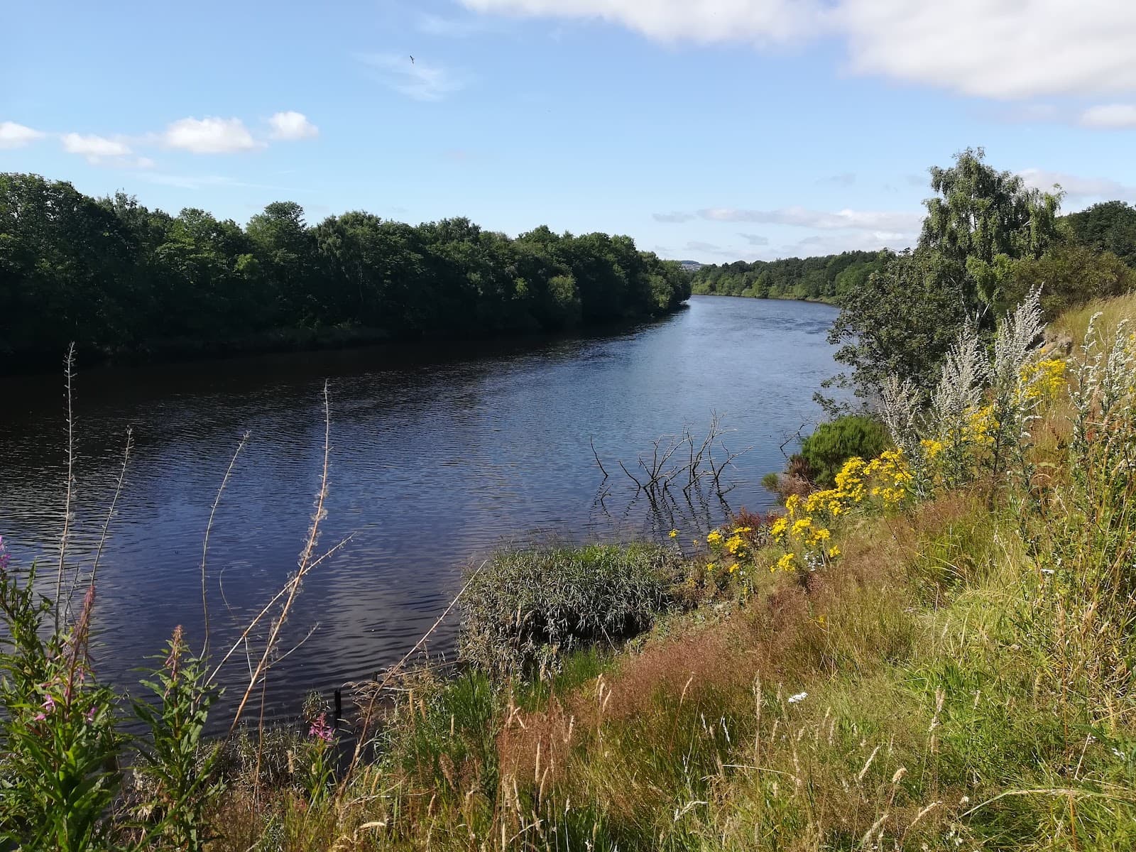 Tyne Riverside Country Park - Image 1