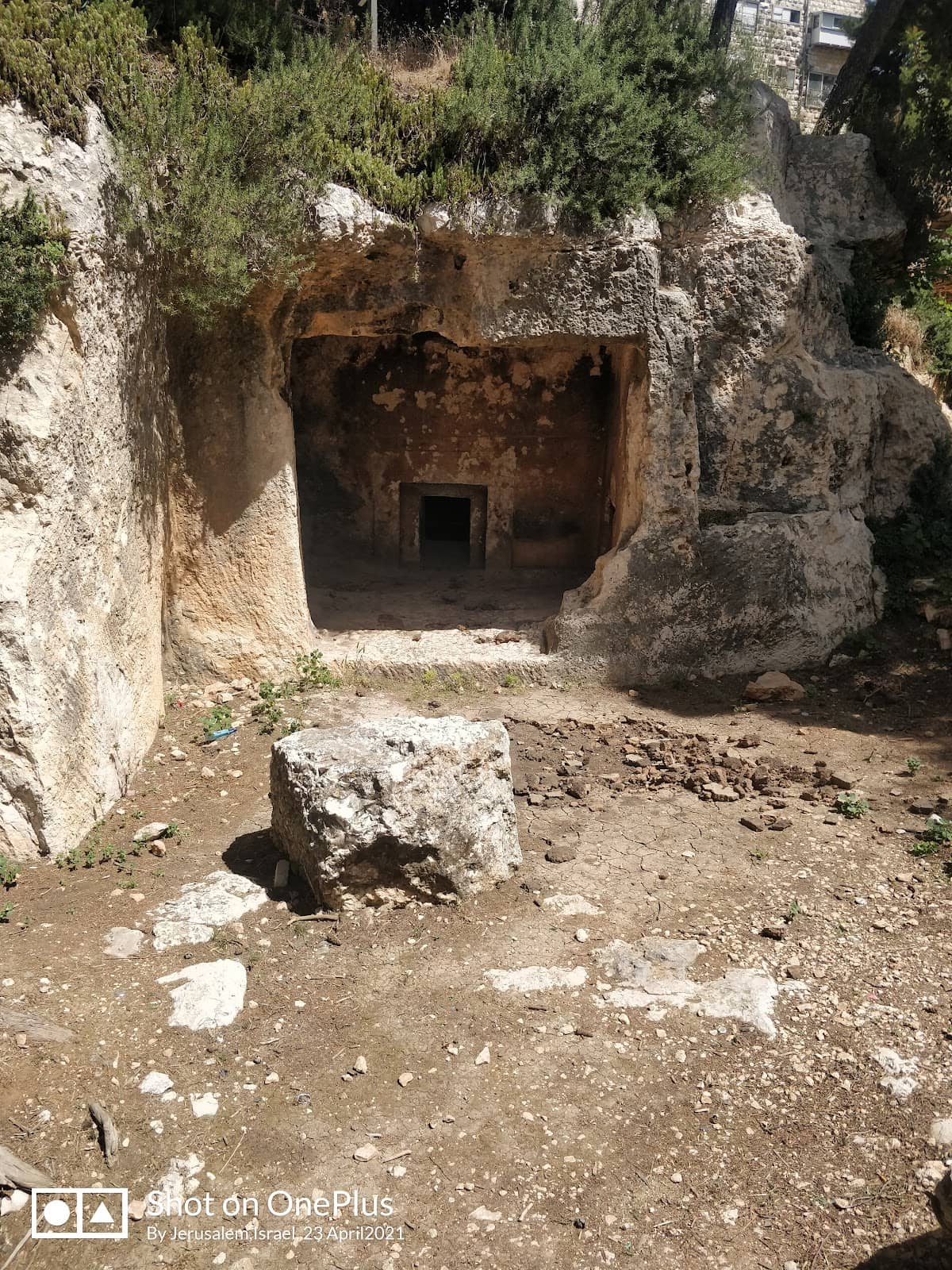 Vertical photo