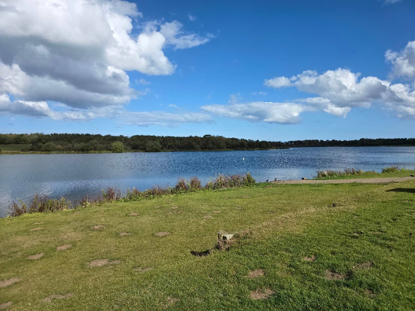 Woodland Trails & Stepping Stones