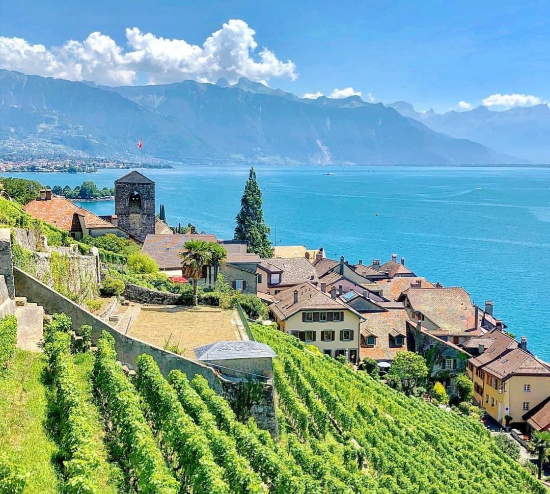 Saint-Saphorin - Image 1