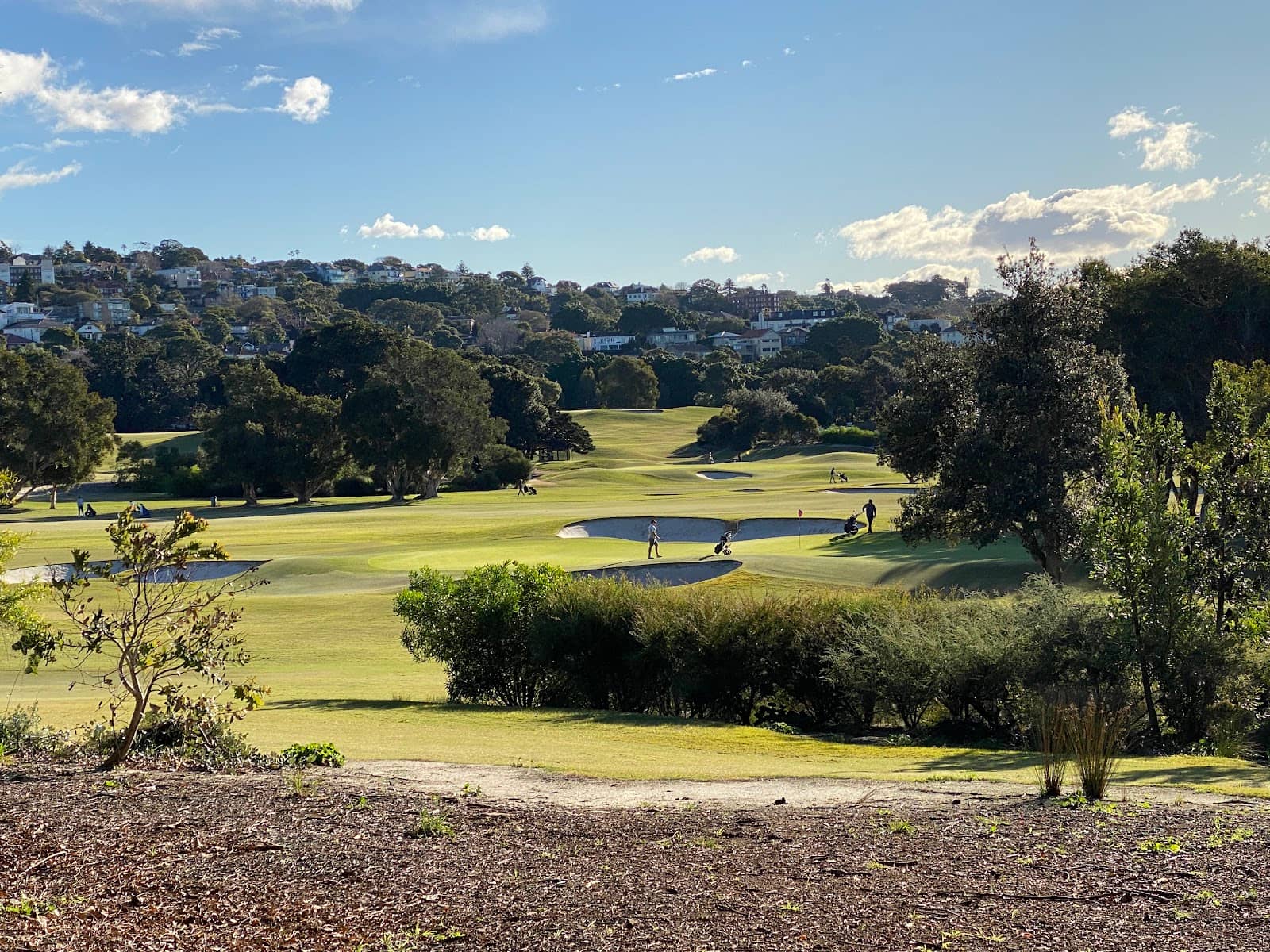 Pristine Bunkers