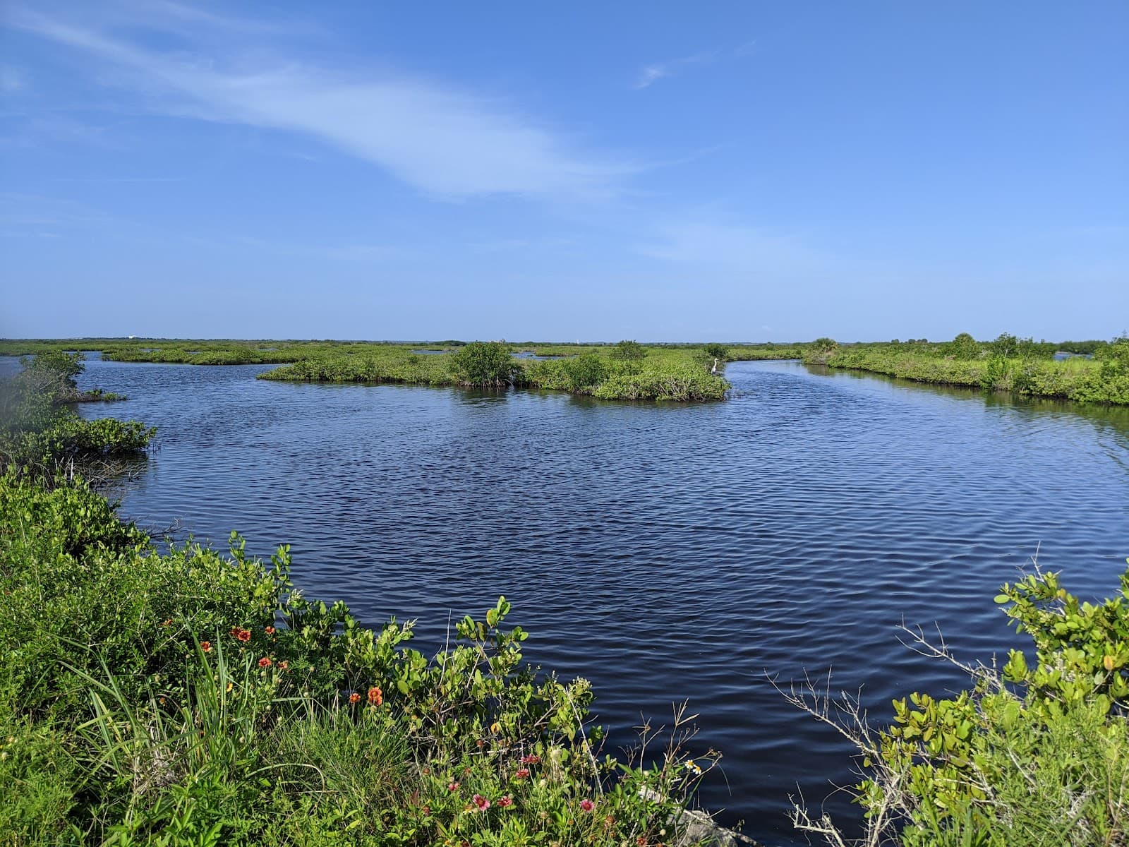 Black Point Wildlife Drive - Image 1
