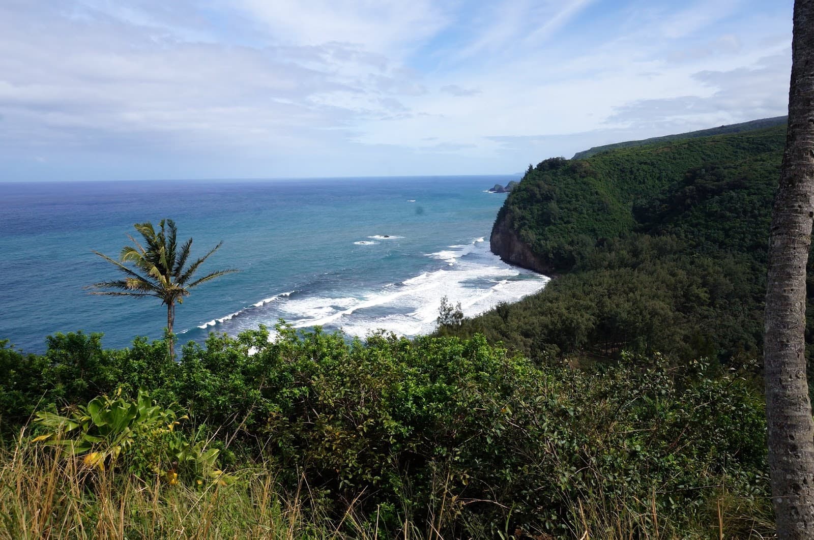 Hawi Hawaii - Image 1