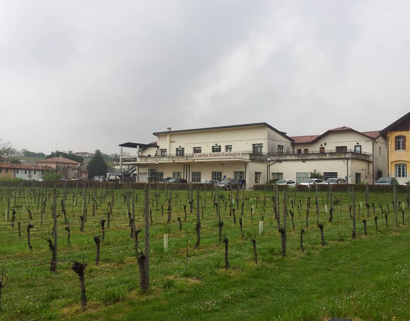 Vineyard Views