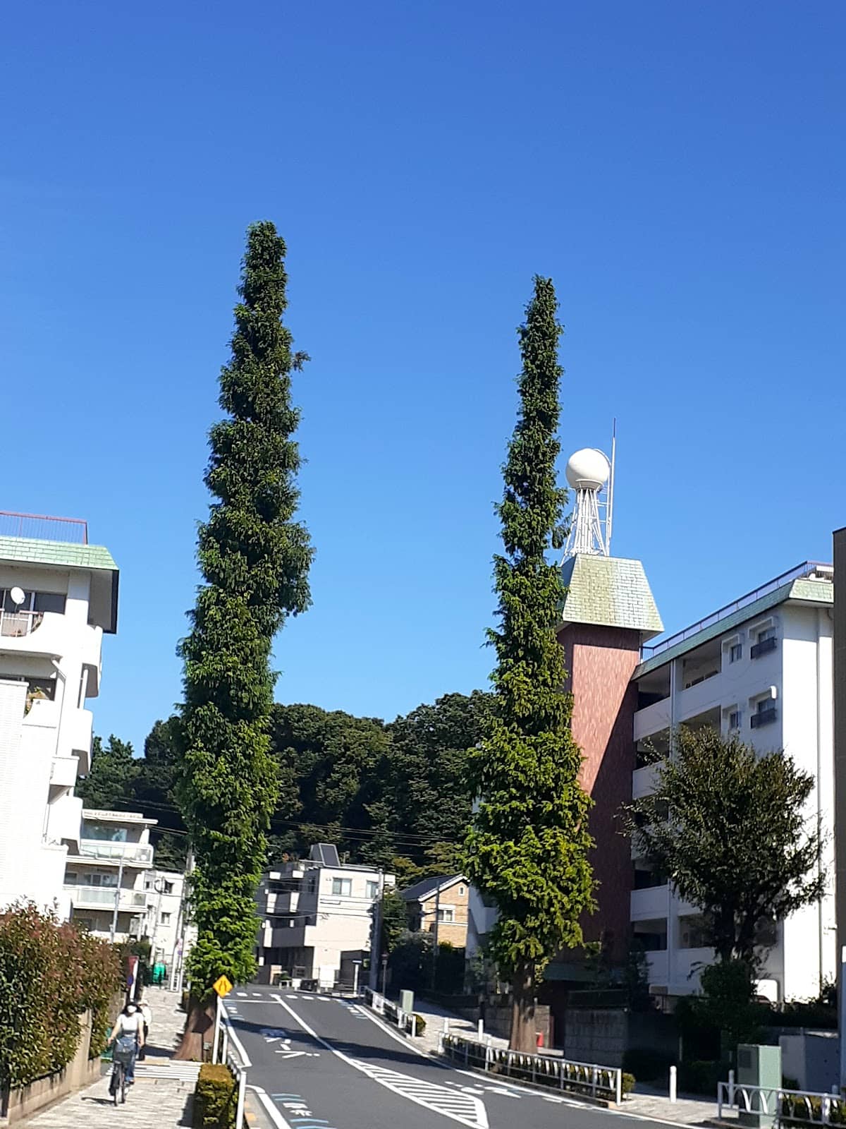 Vertical photo