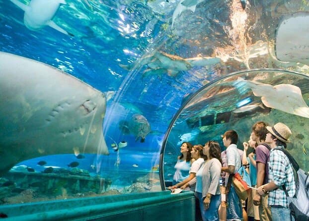 Underwater World Langkawi - Image 1