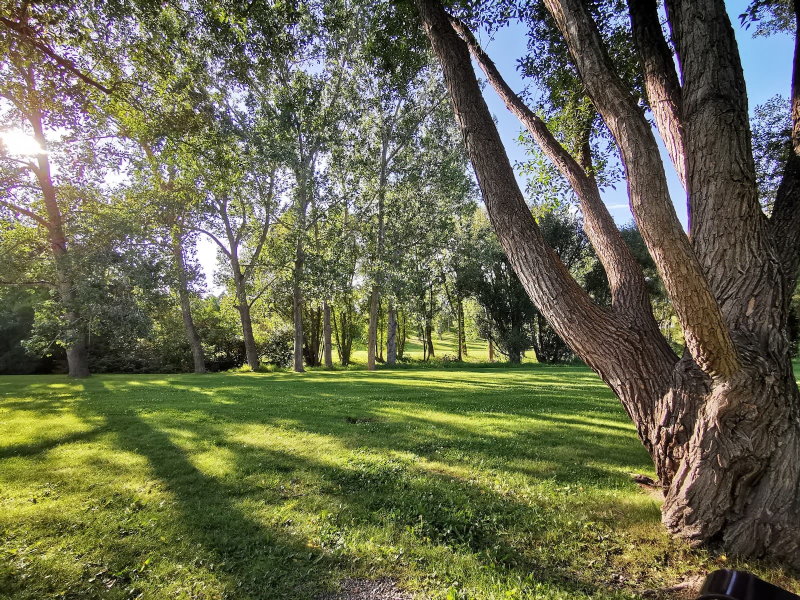 Confederation Park - Image 1