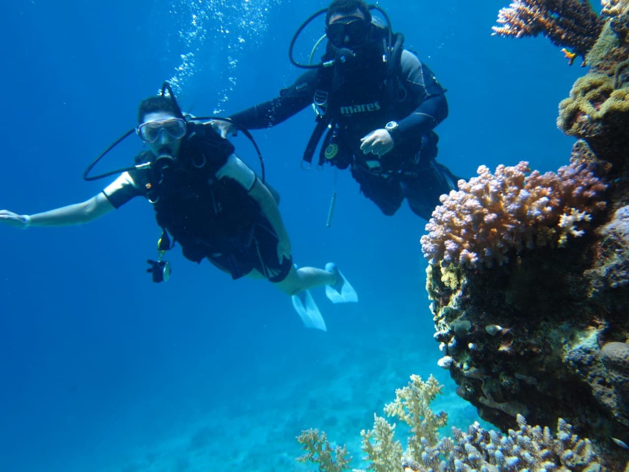 Shark & Yolanda Reef - Image 1