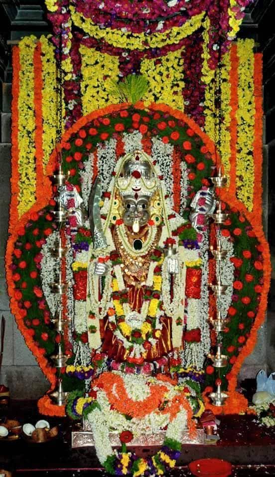 Navratri Cultural Grandeur