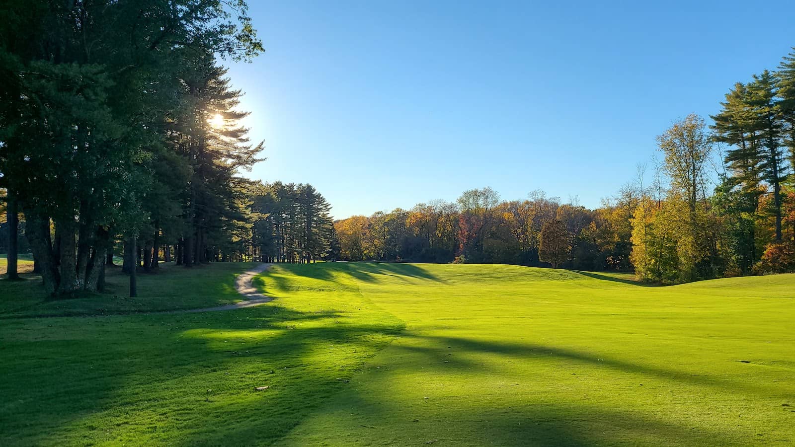 Well-Maintained Greens